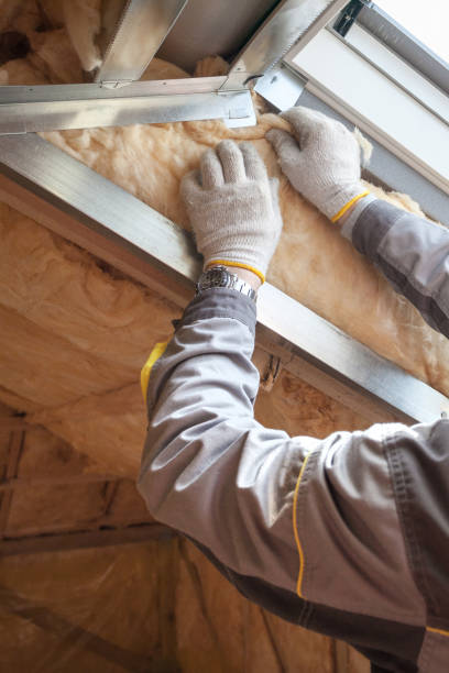 Best Commercial Insulation in Princeton, WI