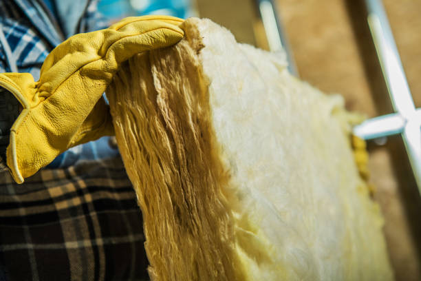 Best Blown-in Insulation in Princeton, WI