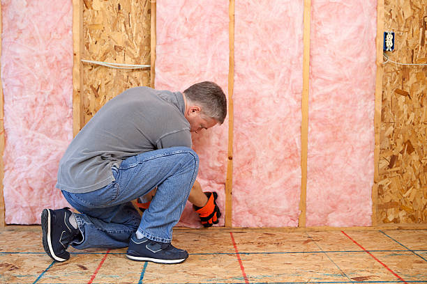 Best Geographic-Specific Insulation Services in Princeton, WI